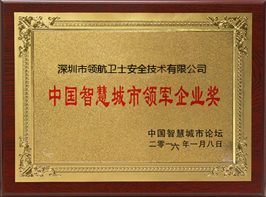 企業(yè)獎狀 1