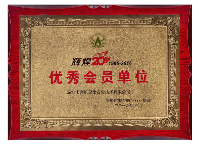 企業(yè)獎狀 6